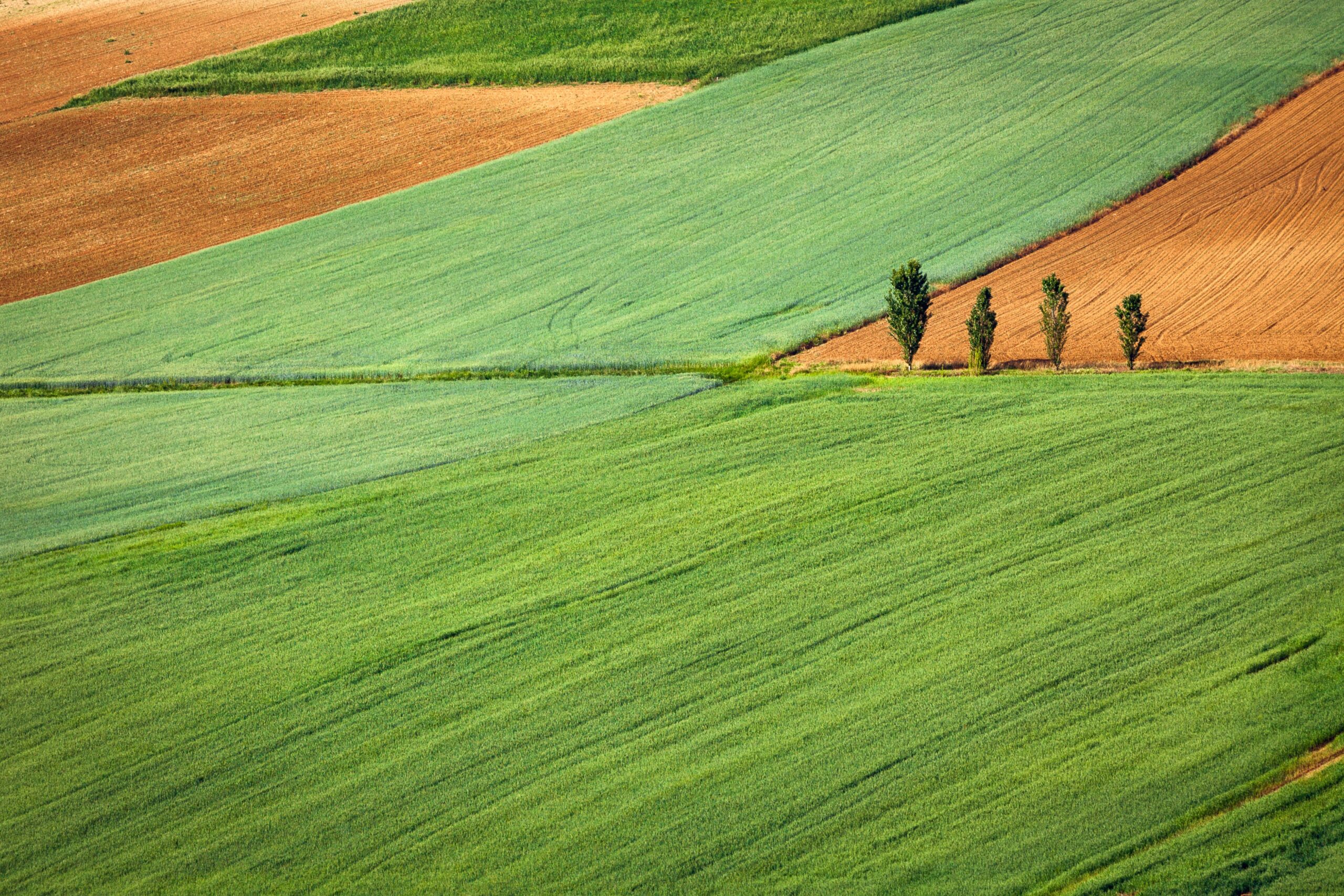 orientation agriculture